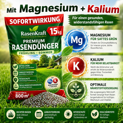Rasendünger für Frühling und Sommer