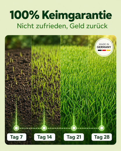 Premium Rasensamen schnellkeimend