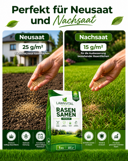 Premium Rasensamen schnellkeimend