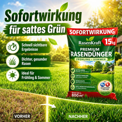Rasendünger für Frühling und Sommer